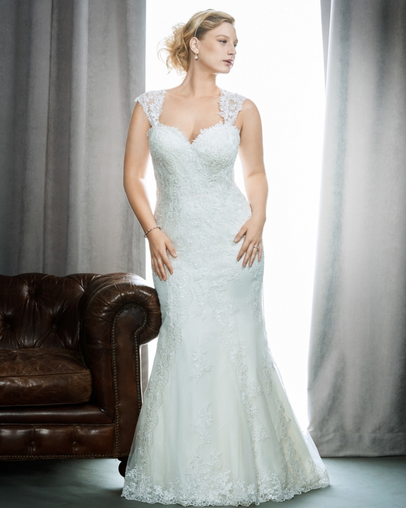 Wedding Dresses Devon2